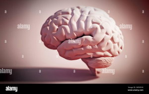 Brain.png